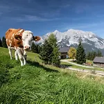 Buchmann Lehen Vakantiehuis Irdning