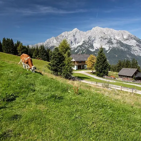 Buchmann Lehen * אירדנינג