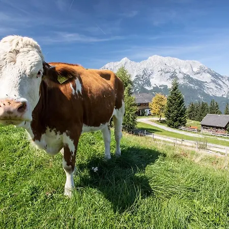 Buchmann Lehen * Irdning