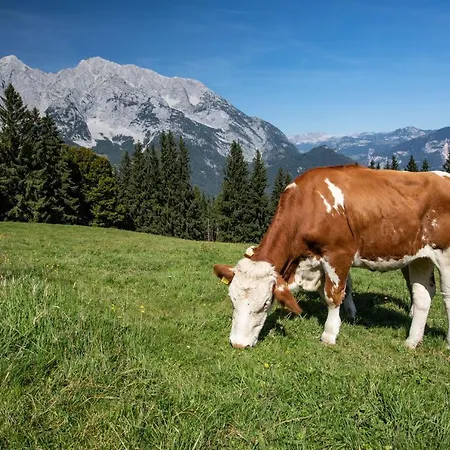 Buchmann Lehen Casa de Férias