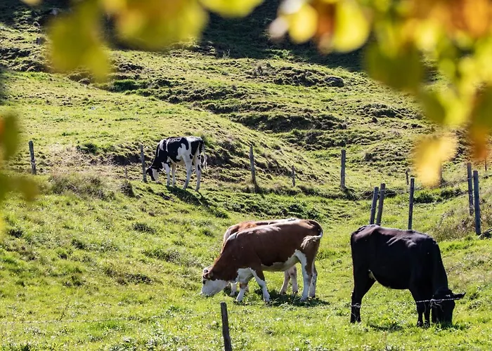 Buchmann Lehen * 伊尔德宁