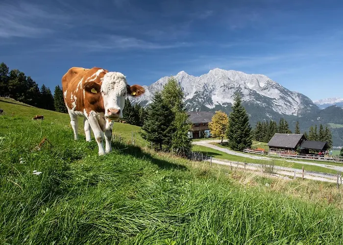 Buchmann Lehen Holiday home Irdning