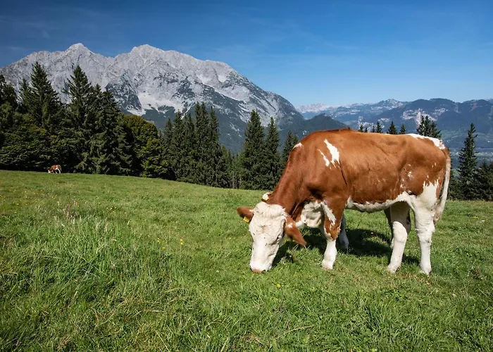 Buchmann Lehen 度假居